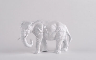 NUAR; a £30m+ white elephant in the making