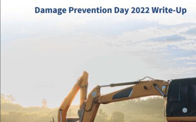LSBUD Damage Prevention Write Up