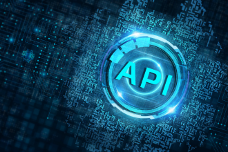 The LSBUD Search API
