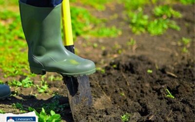 National Safe Digging Week 2025: A Collaborative Success